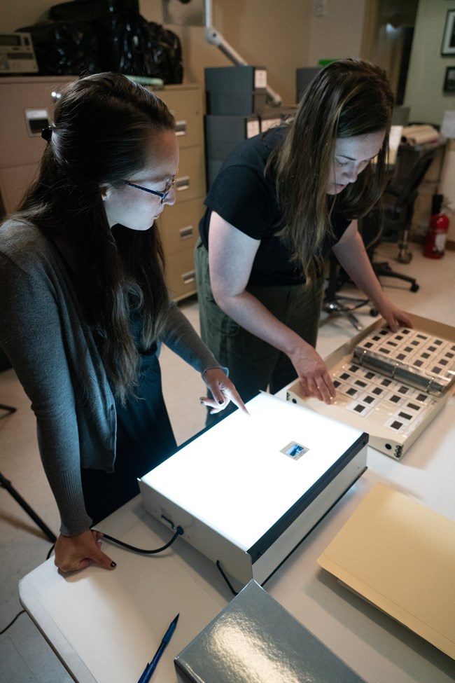 Two museum archivists with long dark hair look through a binder filled with photographic slides