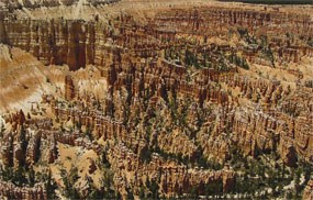 Scenic view of the main amphitheater from Bryce Point with numerous hoodoos visible