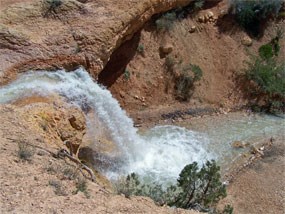 Tropic ditch water turns into a waterfall near the Mossy Cave Trail