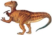 Doofus B Doofus (Allosauros) Doofus B Doofus (Allosauros)