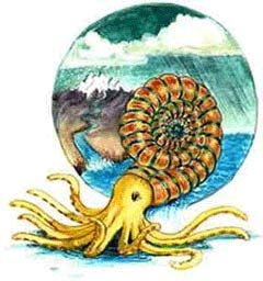 Colorful picture representing the creature Arms Gayleson, an ammonite. Colorful picture representing the creature Arms Gayleson, an ammonite.