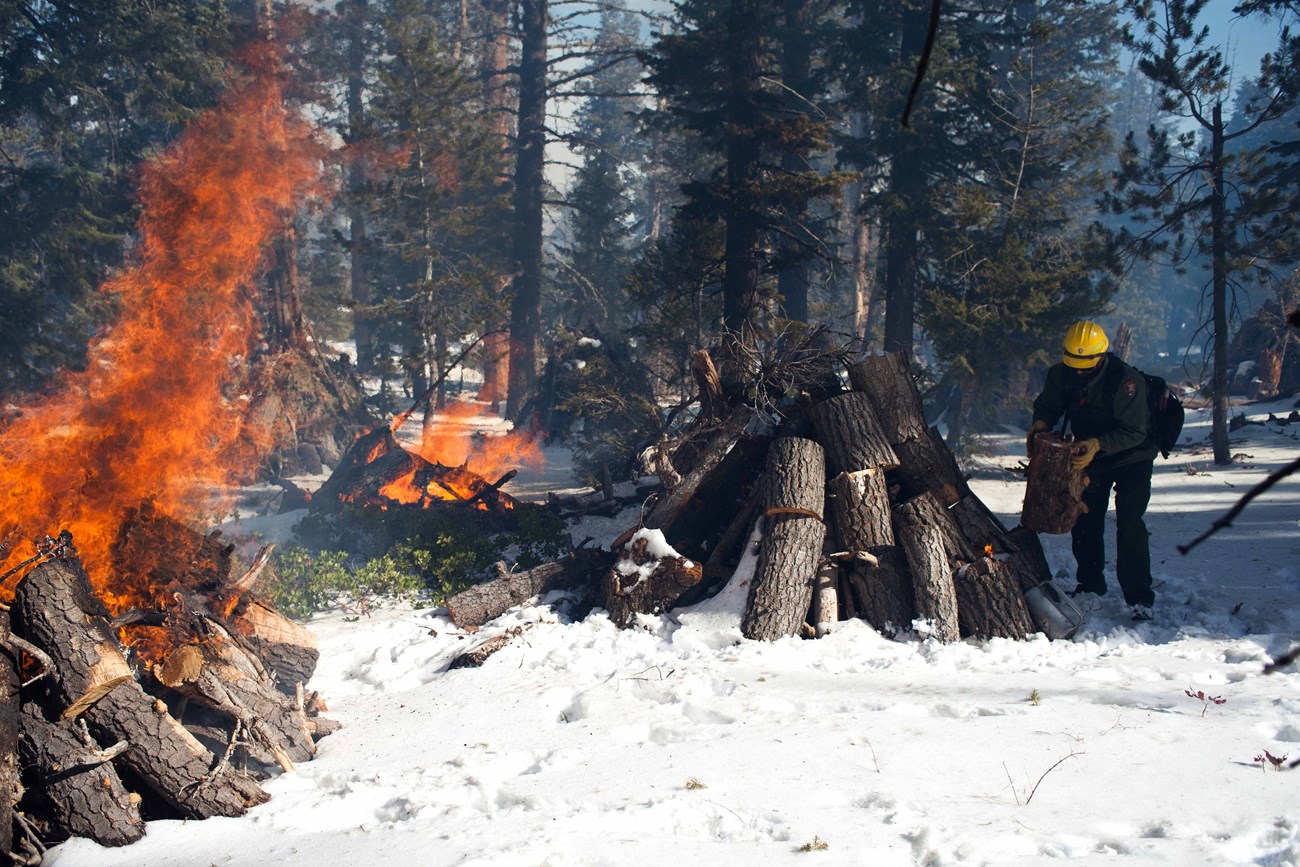 A man adds a log to a burning pile of timber.