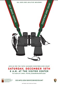 2021 Christmas Bird Count Poster showing a pair of binoculars with three birds hanging onto them