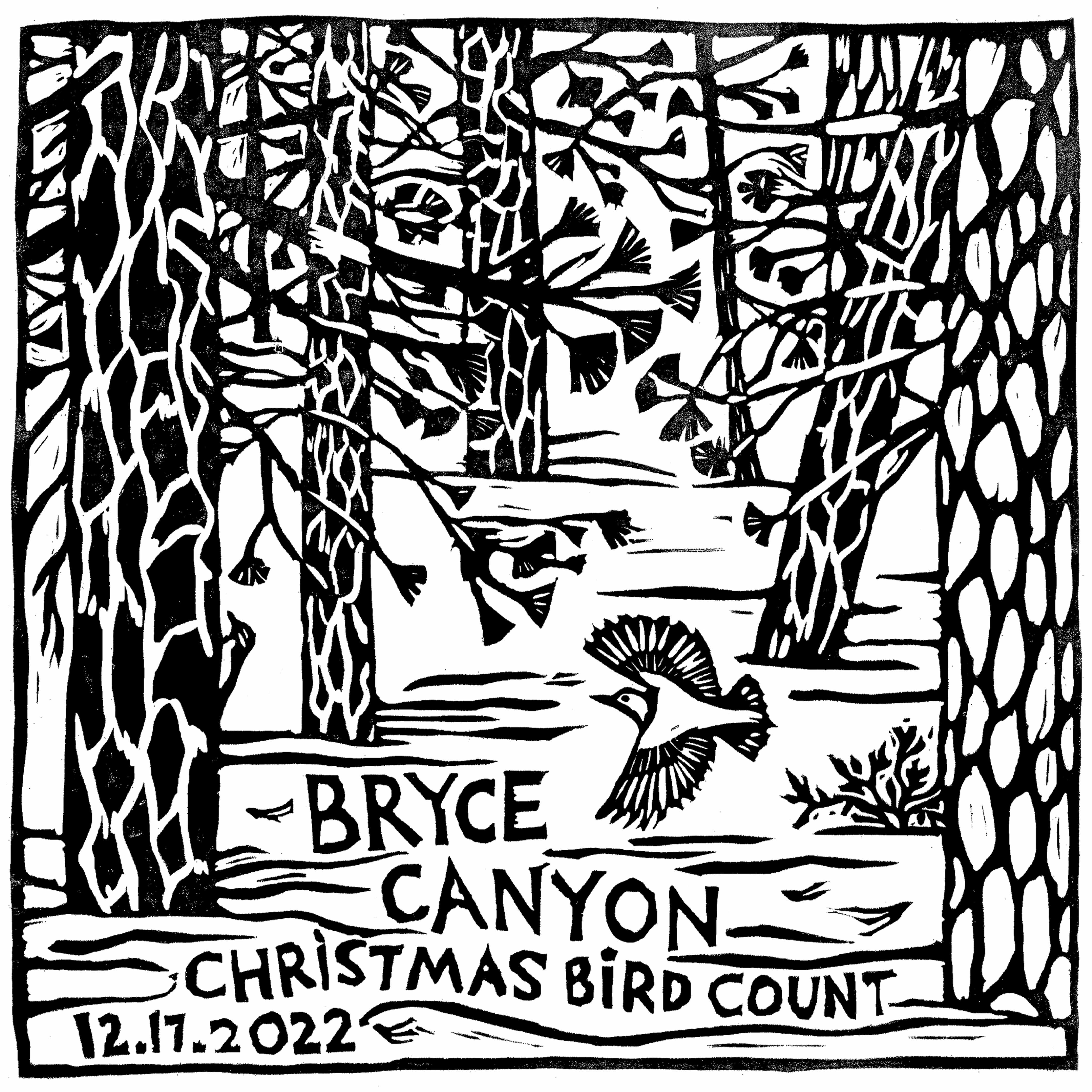 christmas-bird-count-bryce-canyon-national-park-u-s-national-park