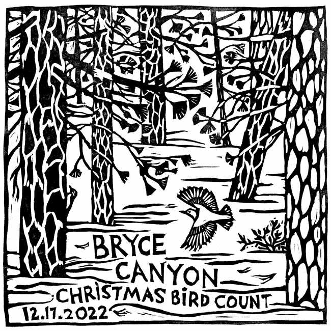A woodcut style illustration showing a forest with a bird swooping through. Text reads Bryce Canyon Christmas Bird Count 12.17.2022