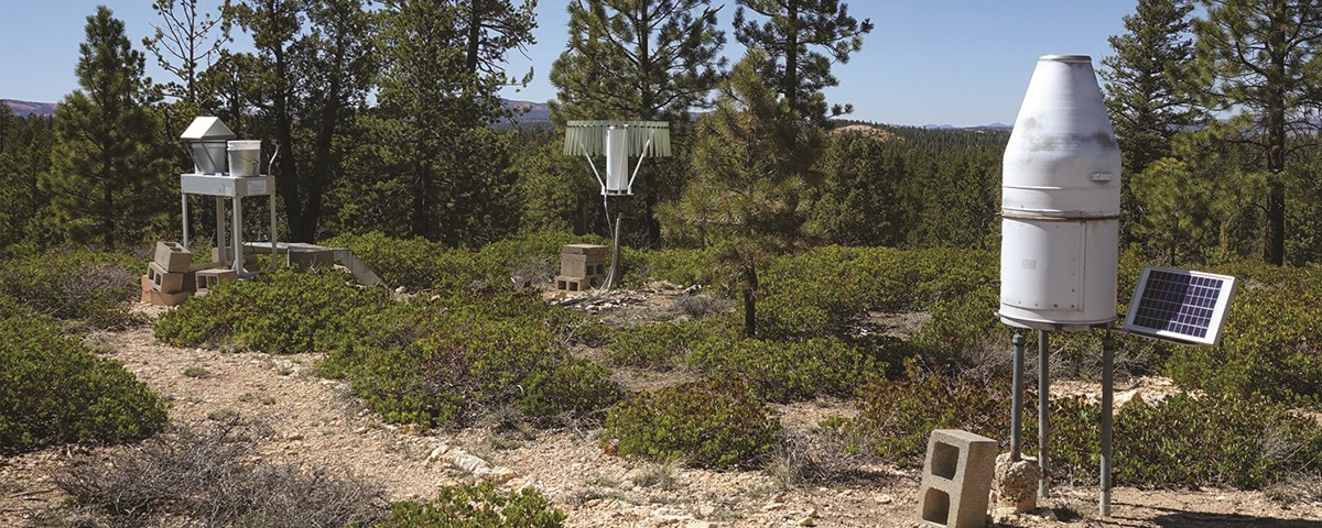 Three white and metal devices stand in a forest of low brush. The devices are various weather and air quality measurement stations.