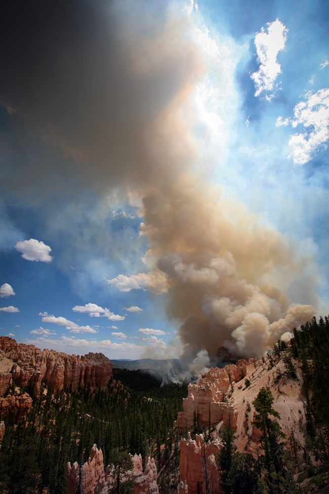 Large plumes of gray and white smoke rise from a forested area with large rock formations in the foreground