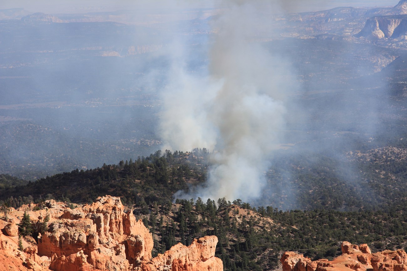 Tree covered hills being consumed by two large smoke plumes with with red rock formations in the foreground