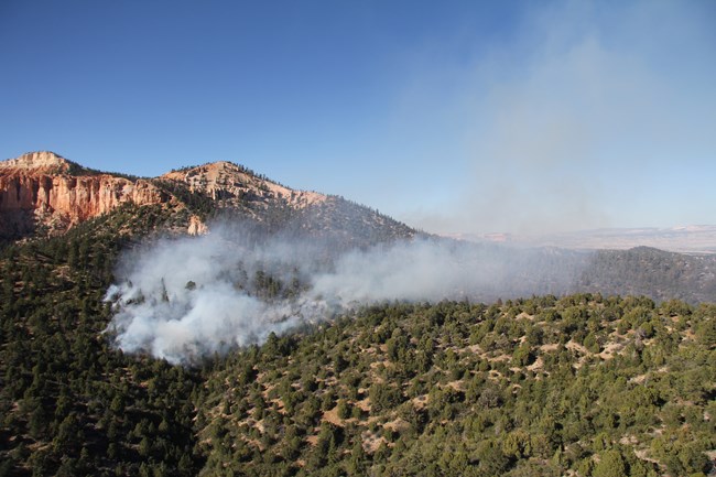 Smoke plumes rise up from a wooded area with red rock formations in the background