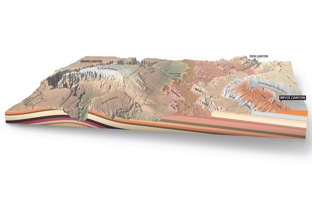 Graphic diagram of the area between Bryce Canyon and the Grand Canyon depicting colorful cliffs known as the Grand Staircase stepping down from Bryce to the Grand Canyon.