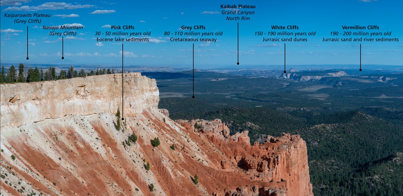 Red and white rock cliffs stand in sunshine above forested cliffs below. Labels show Pink Cliffs, Grey Cliffs, White Cliffs, Vermillion Cliffs, and Kaibab Plateau.