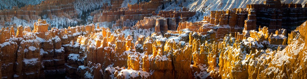 Hoodoos at dawn