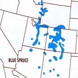 Map depicting the range of the Blue Spruce Tree
