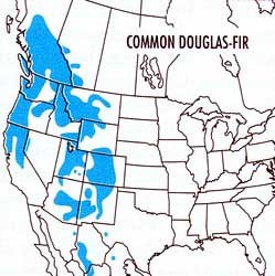 Douglas-fir Range