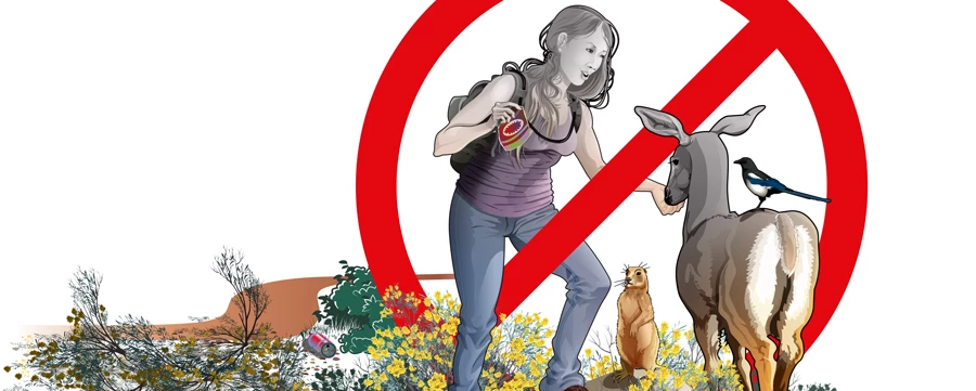 Do Not Feed Wildlife Girl Feeding Deer B. Roanhorse BBR