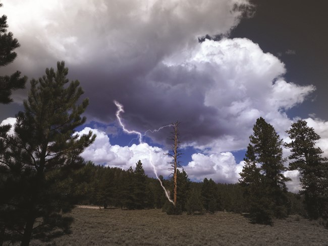 A Ponderosa pine snag getting hit by lightning at both the top and bottom under a dark cloudy sky