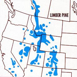 Map of the Limber Pine Range