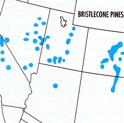 Map depicting the range of the Bristlecone Pine tree in the western United States