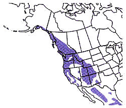 Image depicting the habitat range of Steller's Jay