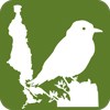 nature icon 2 bird thors hammer