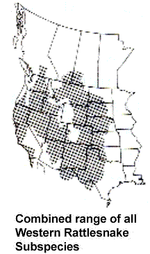 Image depicting the combined range of all western rattlesnake subspecies