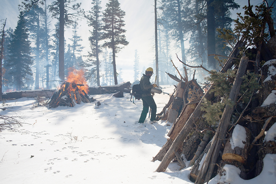 Man with a canned torch sets fire in a large pile of woody debris. In the background another pile burns, creating a haze in the snowy forest.
