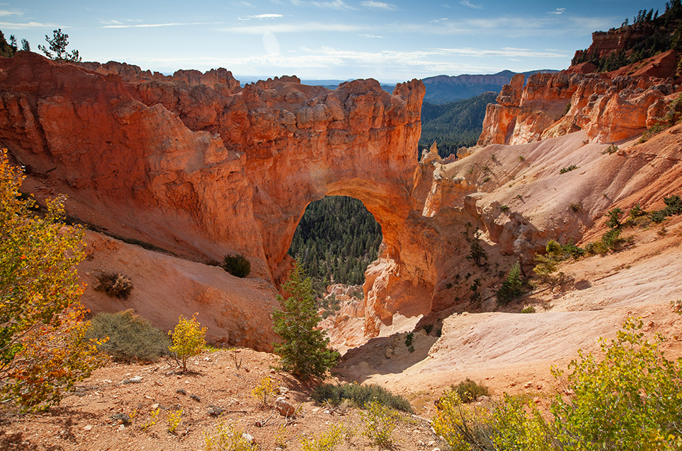 21-08 Fall Operations A large red rock arch stands at the bottom of a slope before a vast forested landscape