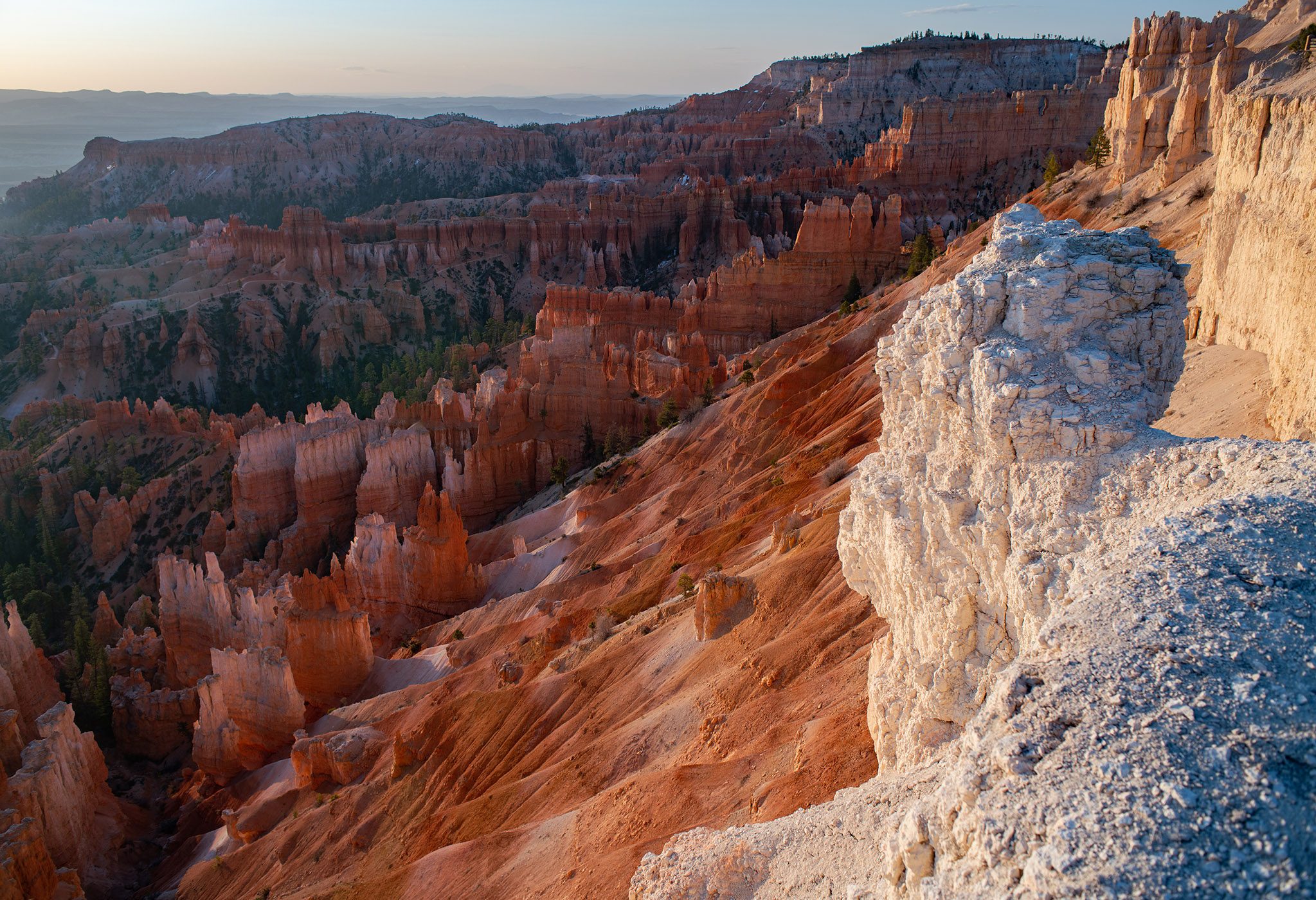 White cliffs glow above a vast landscape of red rock spires and fins.