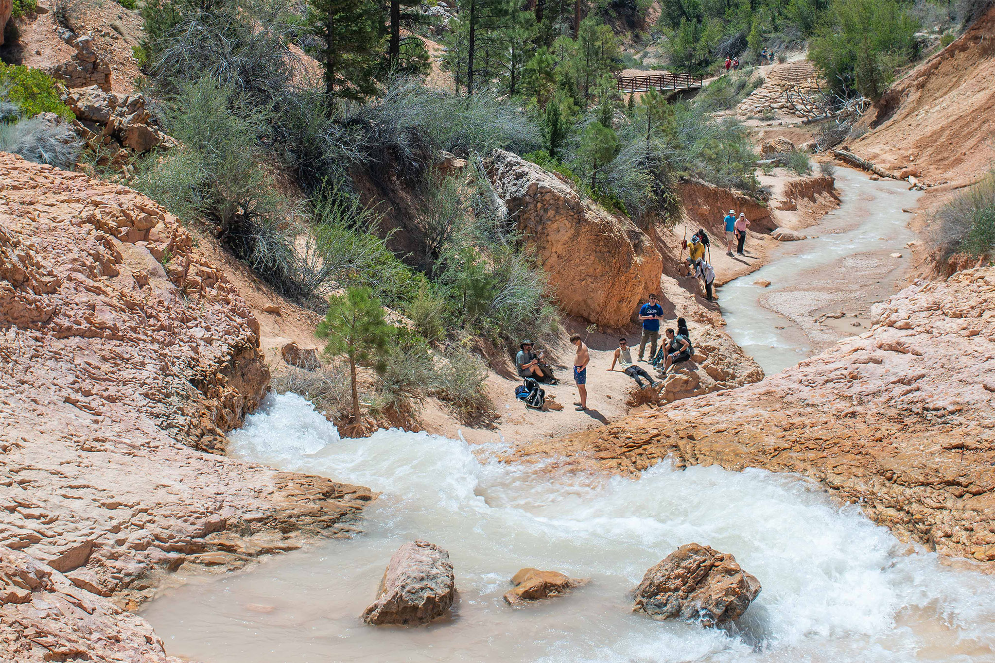 People gather along the edge of a small stream in a forested red rock canyon