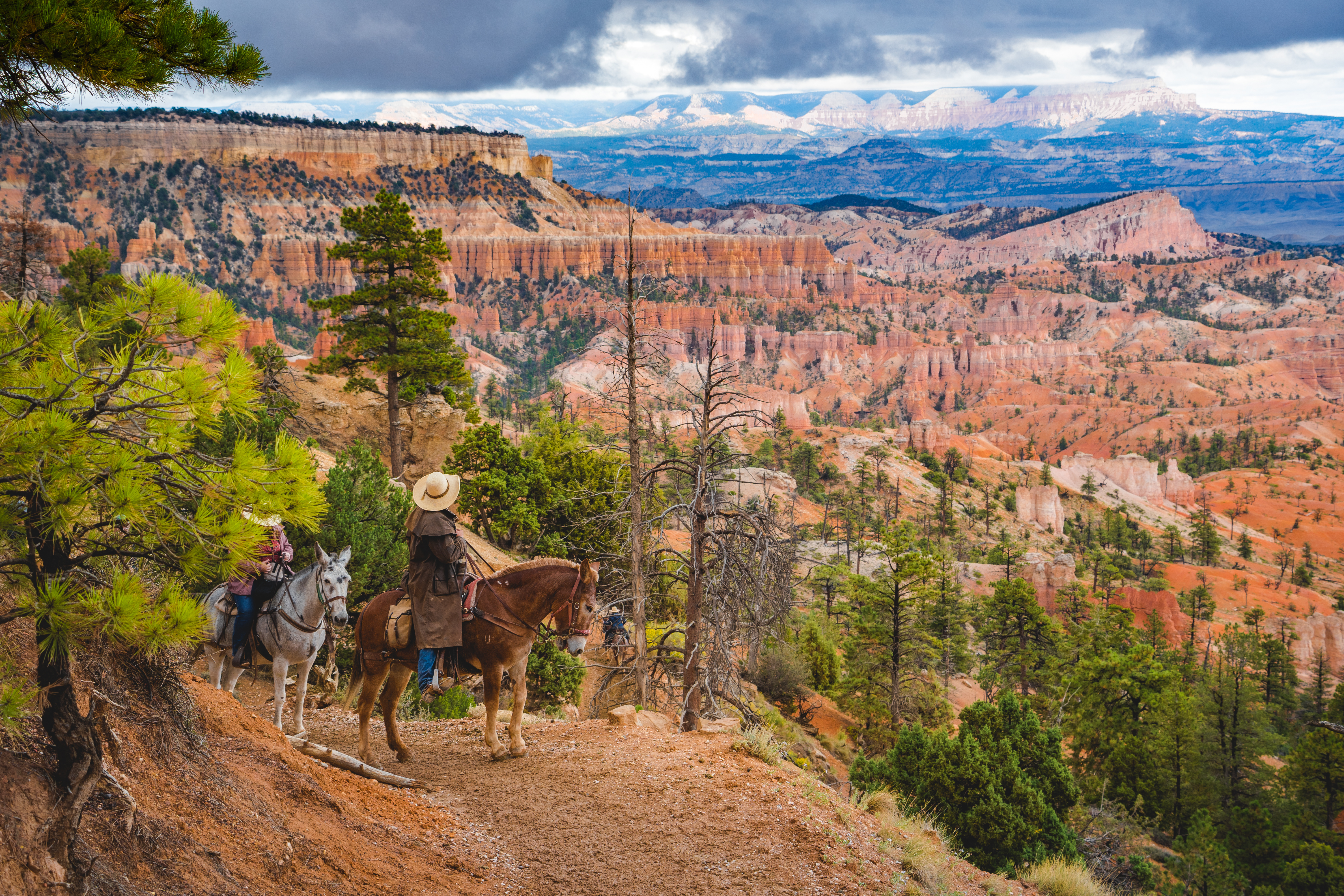 A horse rider pauses along a trail overlooking a vast landscape of red rock spires and cliffs