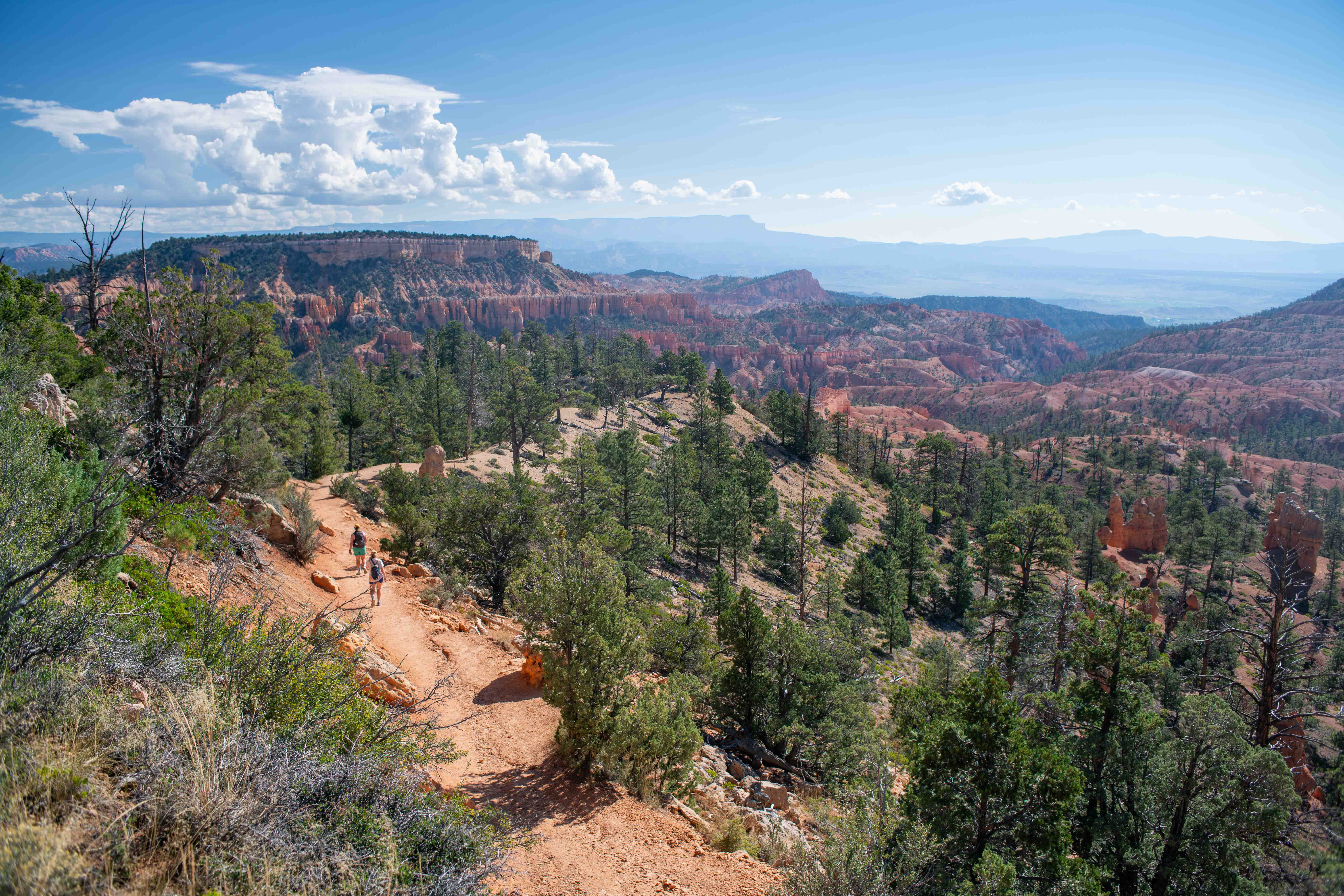 A vast landscape of red rock spires cliffs and trees with two hikers along a trail