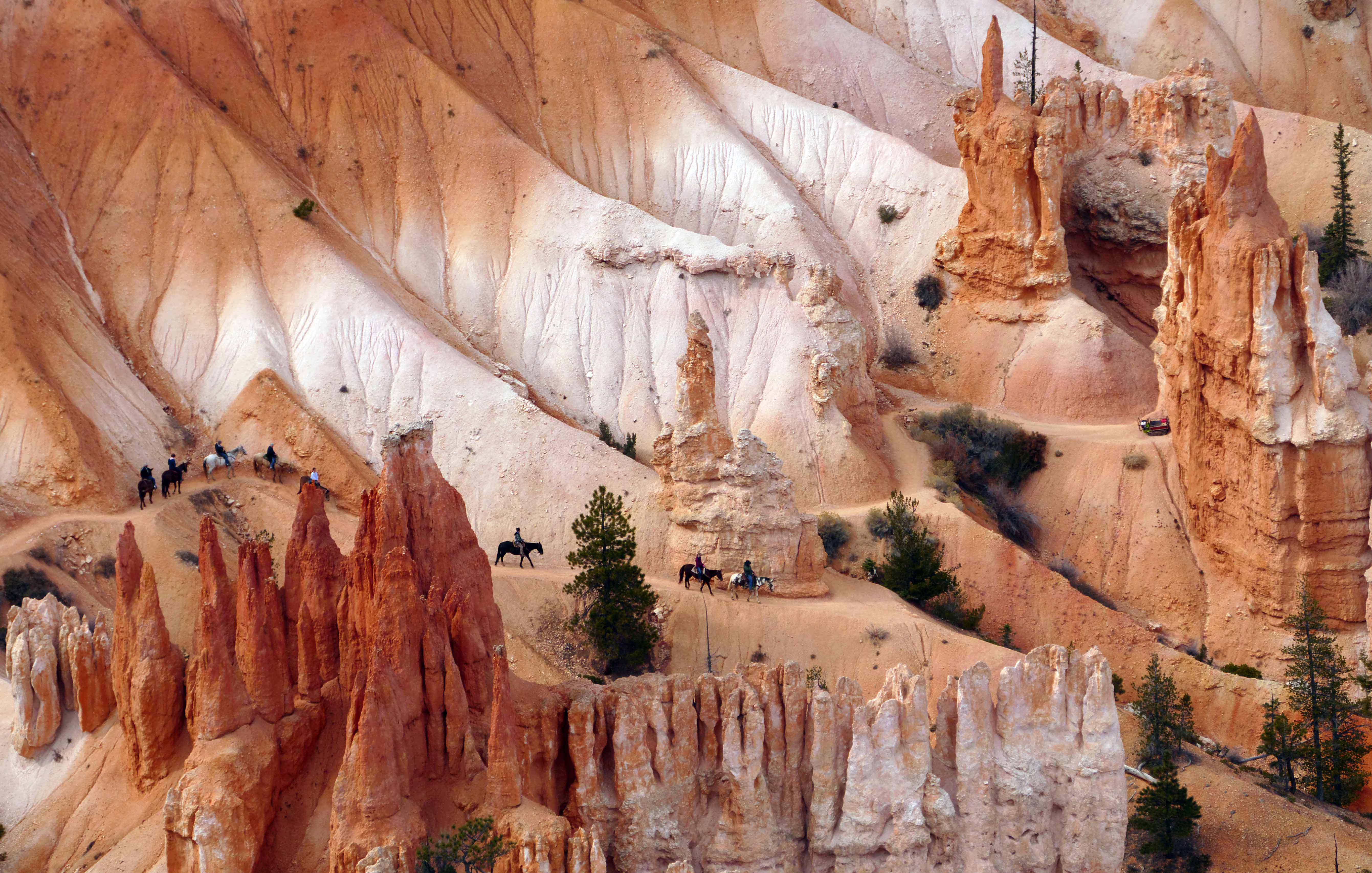 A line of horses travel along a winding trail in a red rock landscape