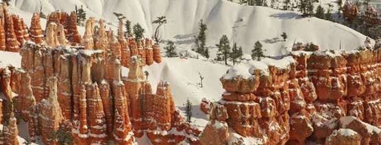 Snow at Bryce 2011