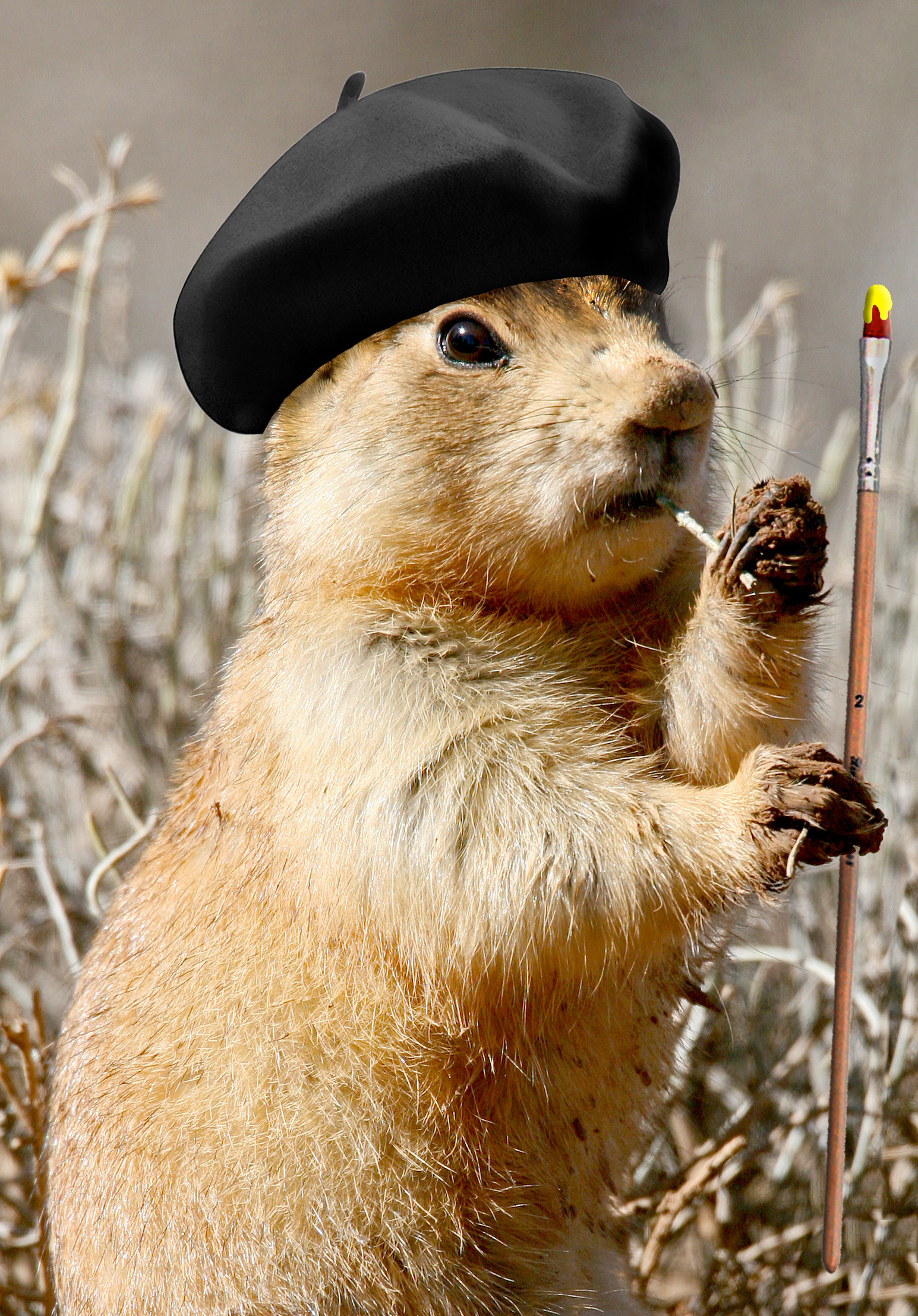 A blonde-haired mammal altered to appear like it had a beret on and is holding a paintbrush