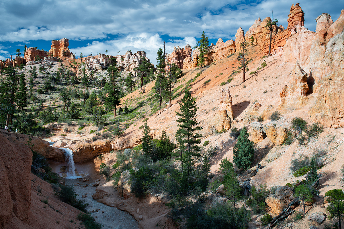 Web Mossy Cave Construction Waterfall flows through forested red rock landscape