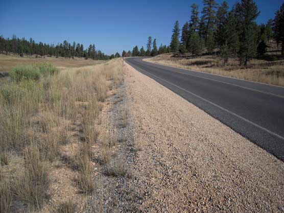 Proposed Wildlife Viewing Pullout near East Creek Meadow (larger view)