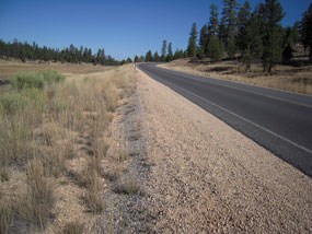 Proposed Pullout near East Creek Meadow