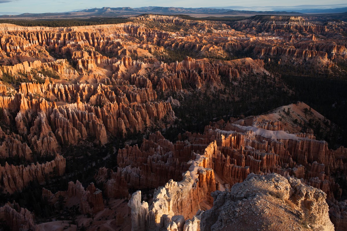 The hoodoos of the Bryce Amphitheater seen from Bryce Point