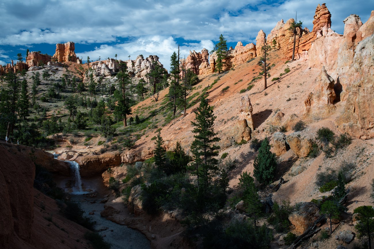 Waterfall, red rocks, and green vegetation