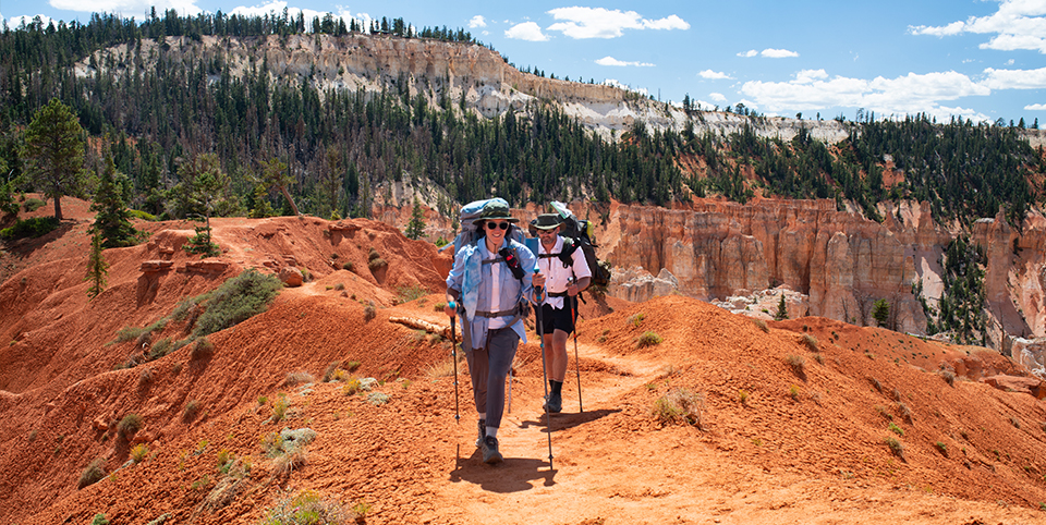 Two hikers travel along red rock path