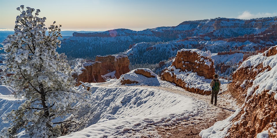 Woman on wintry, snow covered trail in red rock landscape