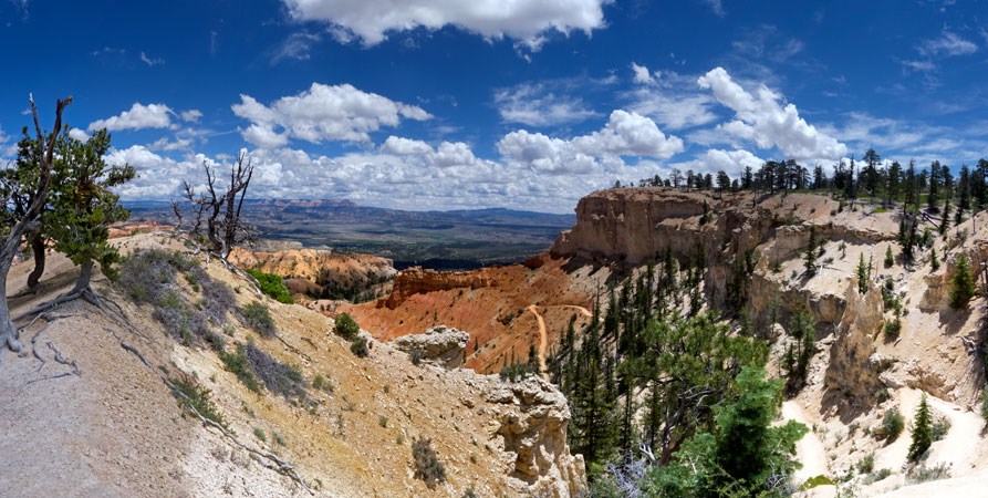Peekaboo connecting trail from Bryce Point. Peekaboo connecting trail from Bryce Point.