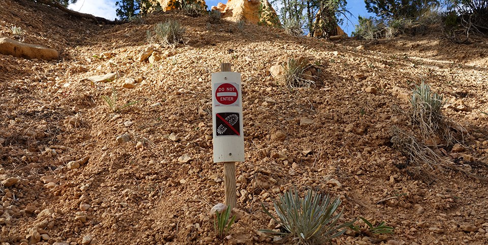 Do Not Enter sign near plants and red rocks