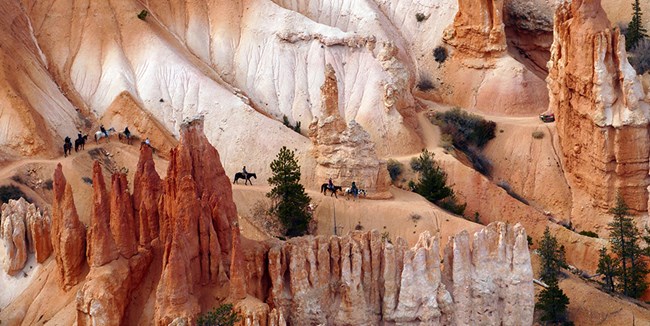 Horseback riders move through redrock landscape