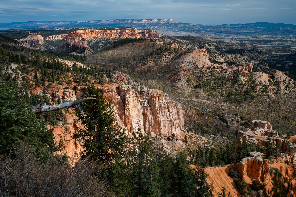 A forested cliff with red rock spires and a broad forested valley below