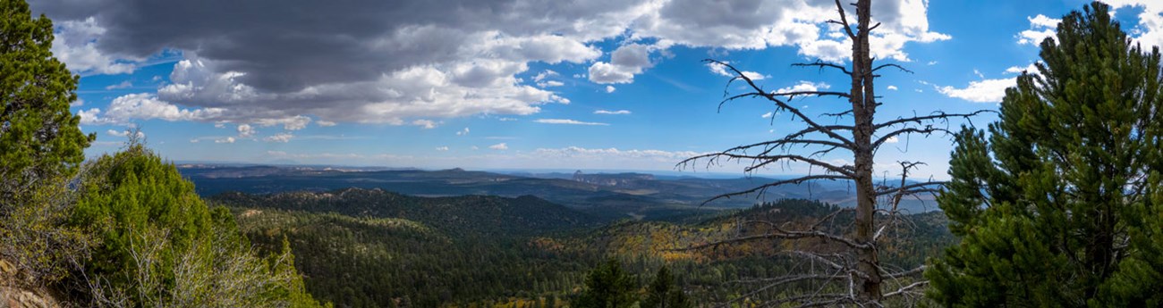 Riggs Spring Loop Trail.