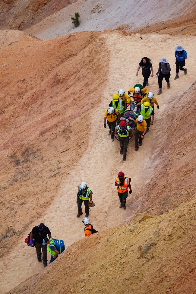 A group of people work together to push a patient up a trail