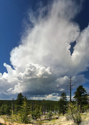storm forming above Bryce Canyon from Sunrise Point B. Roanhorse BBR