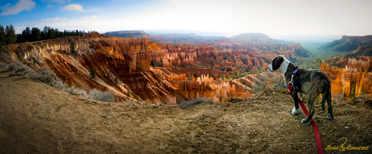 High resolution Logan on the Rim High resolution Logan on the Rim