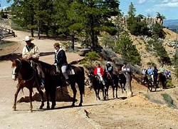 Riders returning from trip into canyon Riders returning from trip into canyon